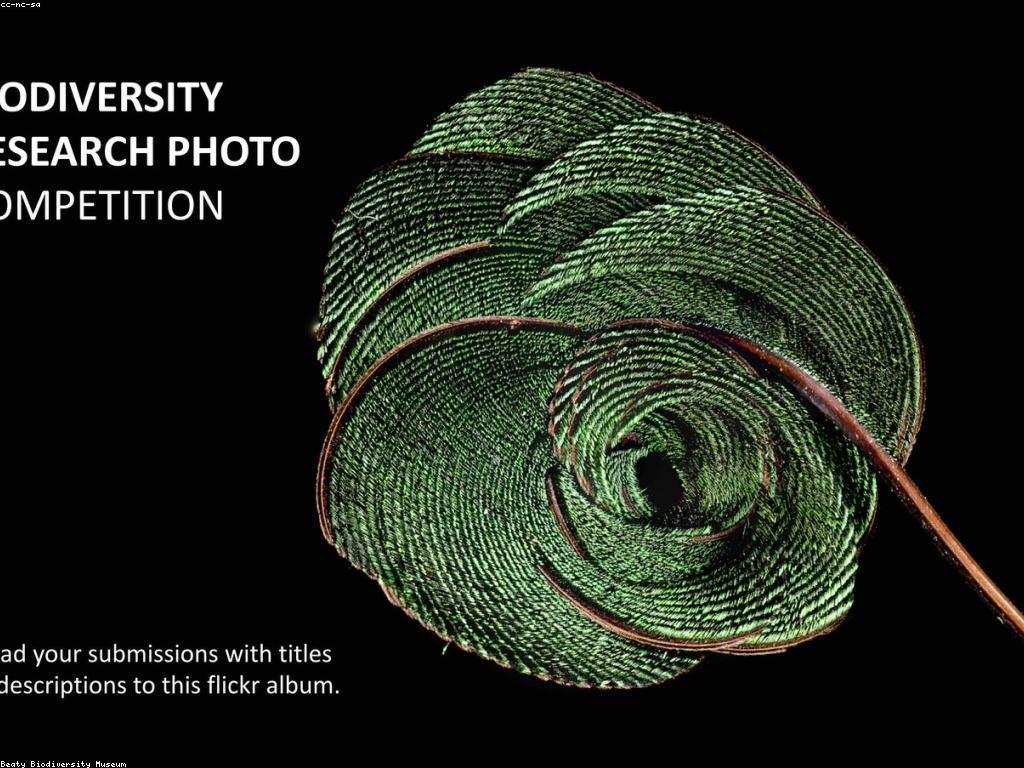 វិធីសាស្ត្រប្រកួតសម្រាប់ជោគជ័យ